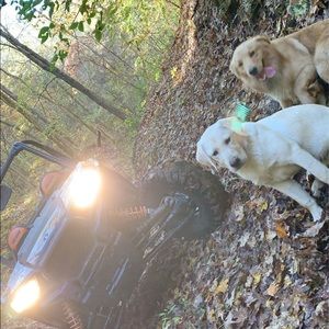 Meet your Posher, Tyler